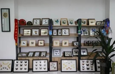 擔得起“新文藝群體”的分量 王世宏談文藝創(chuàng)作與開發(fā)